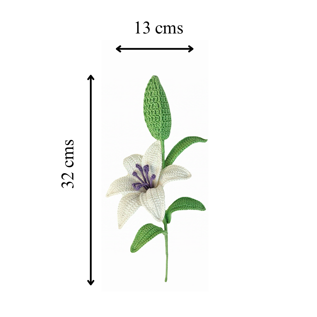 Graceful White Lily