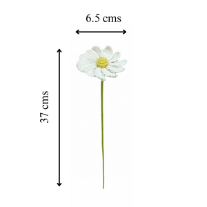 Bloom Forever With