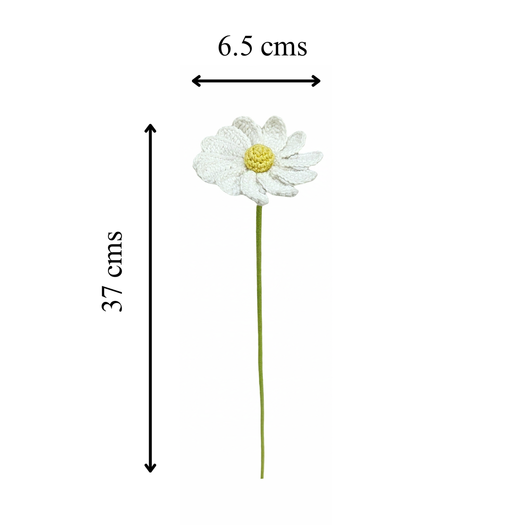 Bloom Forever With