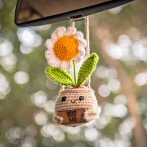 Crochet Daisy Pot