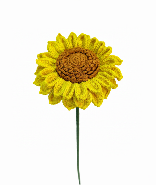 Sunshine In A