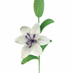 Graceful White Lily