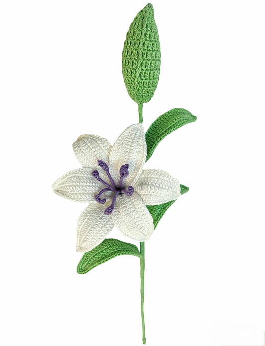 Graceful White Lily