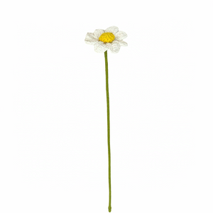 Bloom Forever With