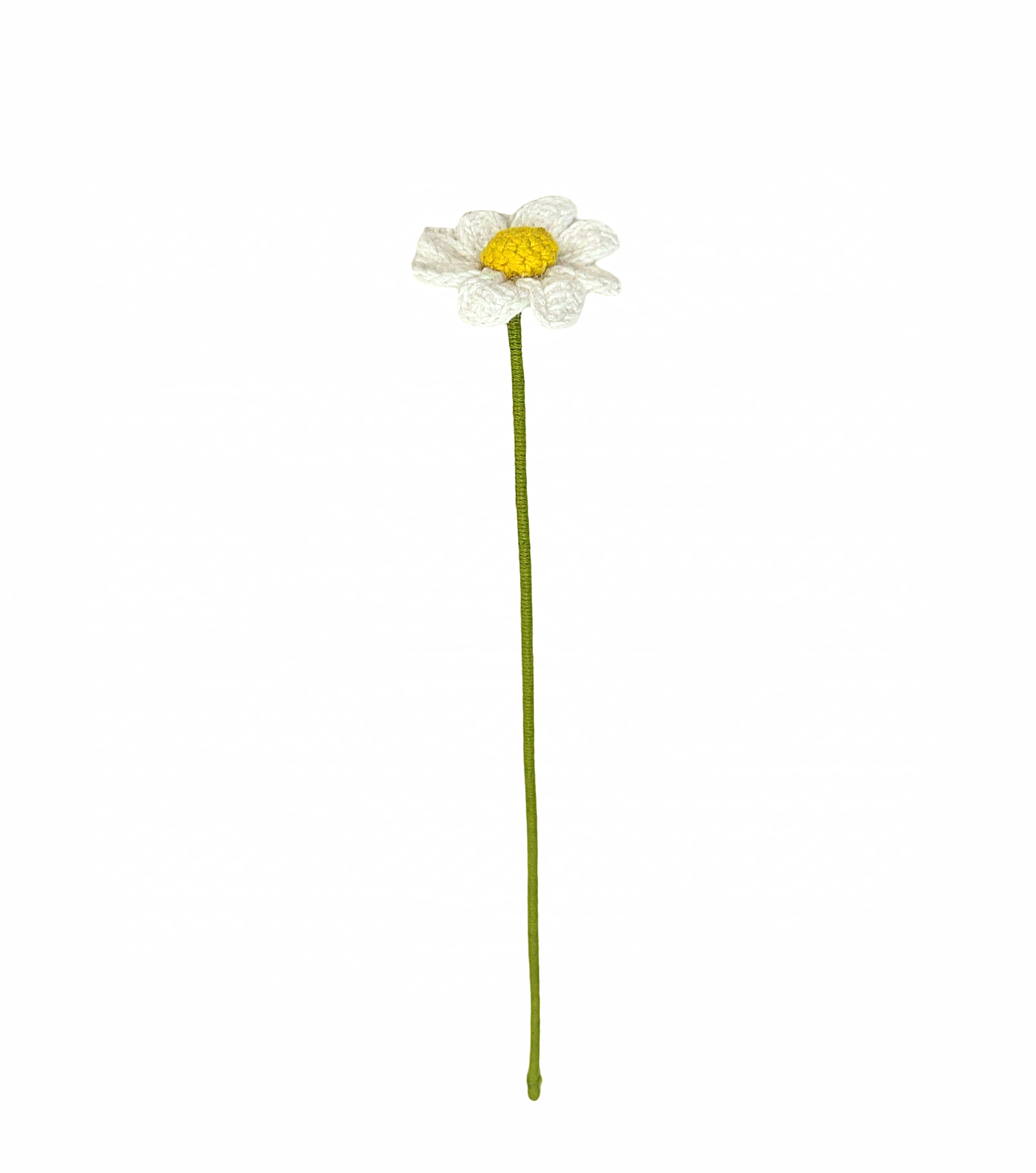 Bloom Forever With