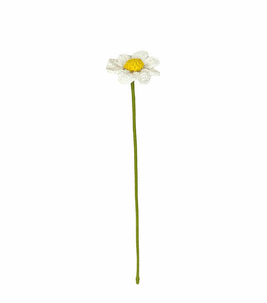 Bloom Forever With
